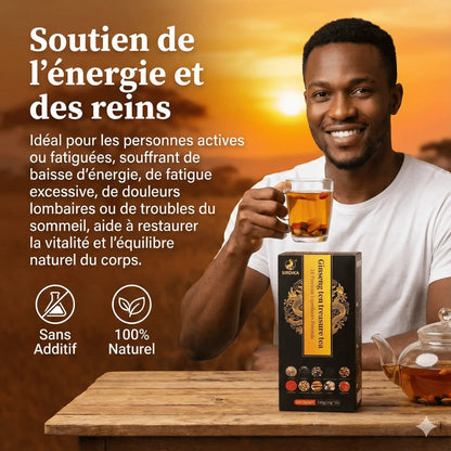 Ginseng Ten Treasure : L’Élixir Alpha de Puissance 🦁