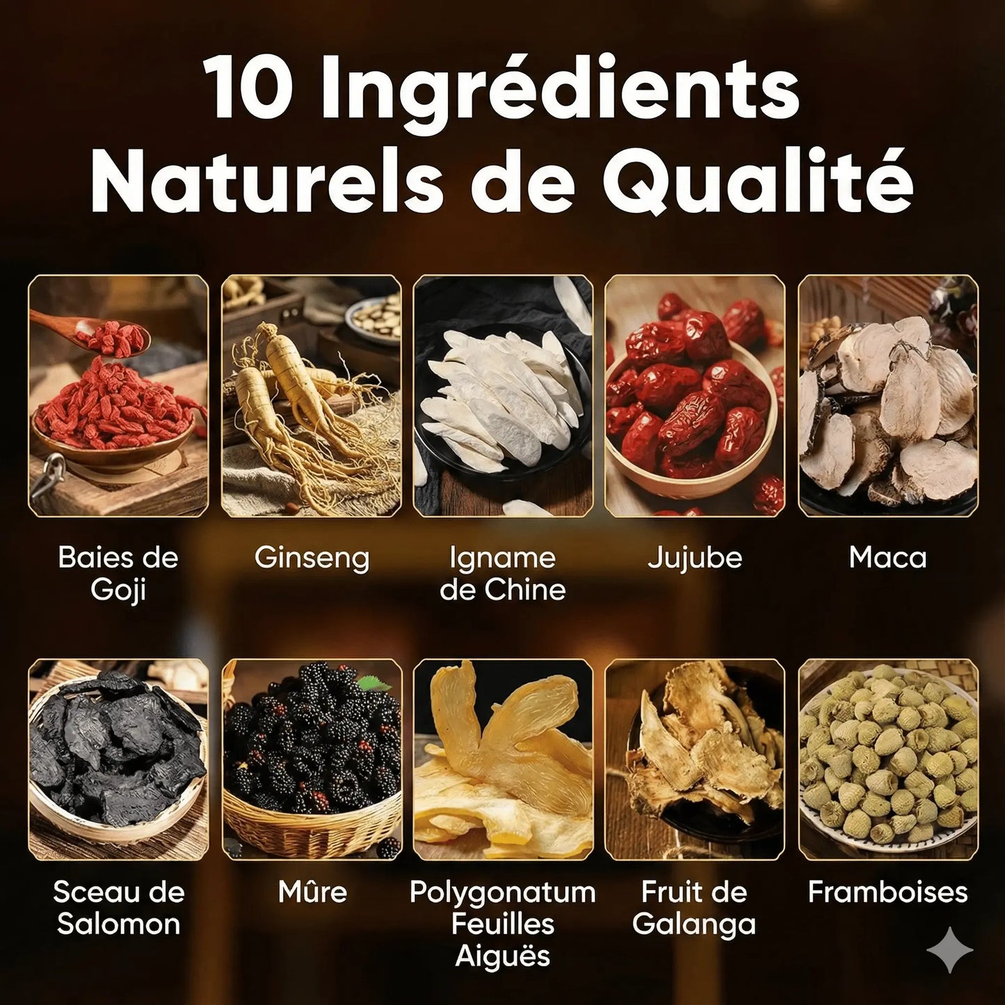 Ginseng Ten Treasure : L’Élixir Alpha de Puissance 🦁